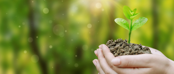 土壤污染狀況調查，沈陽廢水廢氣土壤檢測布點采樣有哪些要點？