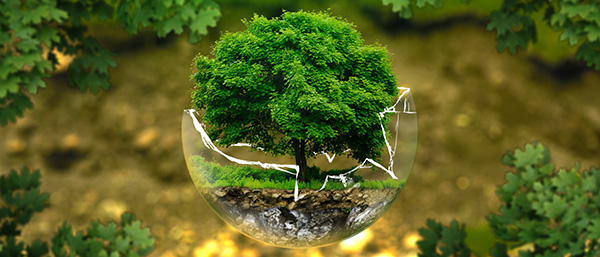 遼寧第三方檢測機構提示找第三方檢測機構委托時需要查看資質？