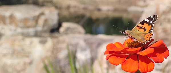 沈陽土壤檢測機構的技術創新：推動環境質量提升的實踐探索