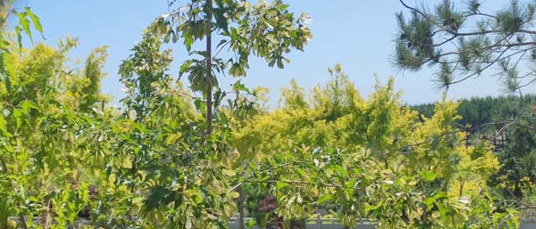 沈陽水質(zhì)檢測(cè)公司有哪些水質(zhì)檢測(cè)服務(wù)優(yōu)點(diǎn)