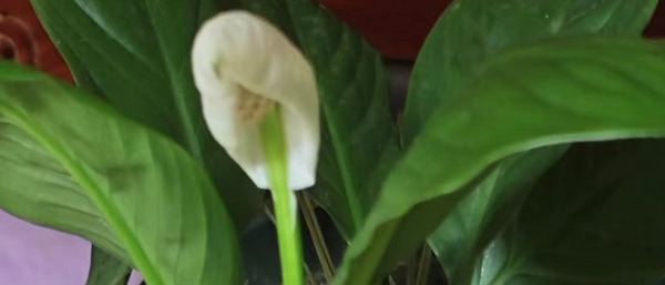 遼寧第三方檢測(cè)機(jī)構(gòu)的環(huán)境檢測(cè)服務(wù)