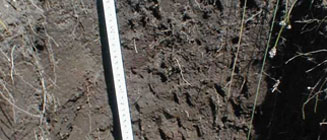 沈陽土壤檢測守護土地健康，保障未來家園