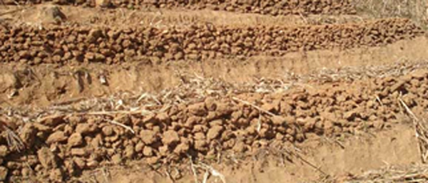 沈陽固廢檢測公司的常見固廢檢測流程