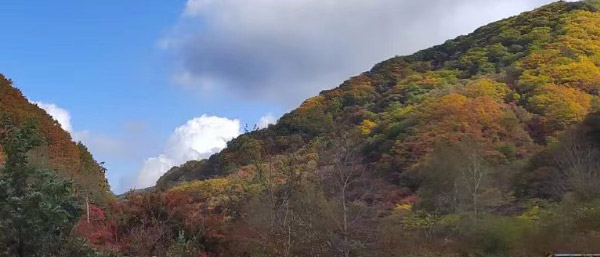 沈陽第三方檢測(cè)的作用與選擇：工程質(zhì)量安全的守護(hù)者