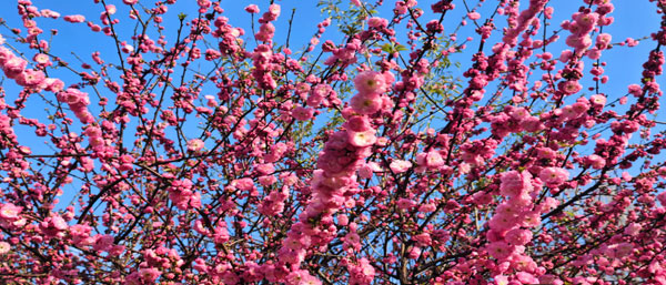 沈陽環(huán)境監(jiān)測(cè)機(jī)構(gòu)的環(huán)境檢測(cè)服務(wù)類型