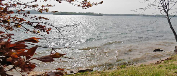 沈陽cma檢測機構(gòu)覆蓋建筑工程、環(huán)境檢驗等領(lǐng)域！