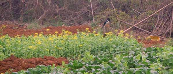 沈陽環境檢測 沈陽環境檢測