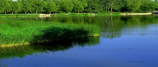 科技創(chuàng)新，保護(hù)環(huán)境——沈陽(yáng)環(huán)境檢測(cè)，守護(hù)健康與生態(tài)平衡