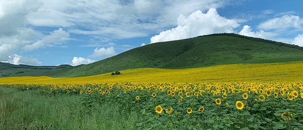 遼寧第三方檢測(cè)機(jī)構(gòu)堅(jiān)守環(huán)境保護(hù)的使命守護(hù)綠水青山