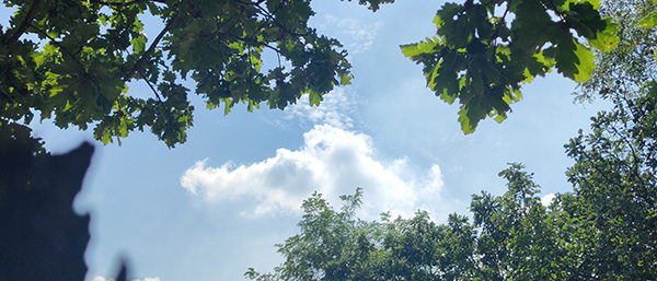 顆粒物自動監(jiān)測系統(tǒng)有哪些顆粒物檢測流程