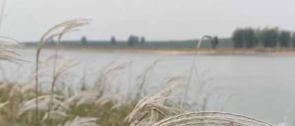 沈陽(yáng)第三方水質(zhì)檢測(cè)機(jī)構(gòu)優(yōu)勢(shì)解析：可靠，服務(wù)全面